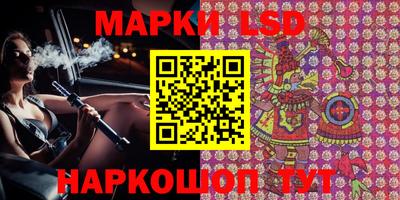 мяу мяу мука Ачхой-Мартан