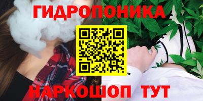 мяу мяу мука Ачхой-Мартан