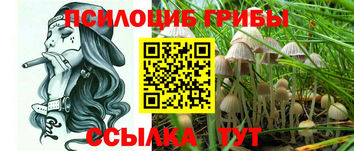 Псилоцибиновые грибы Psilocybe  Вход с VPN  Галлюциногенные грибы MAGIC MUSHROOMS  Кирово-Чепецк 